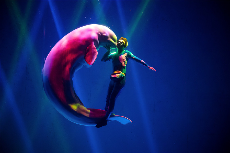 大白鲸海洋公园的表演。