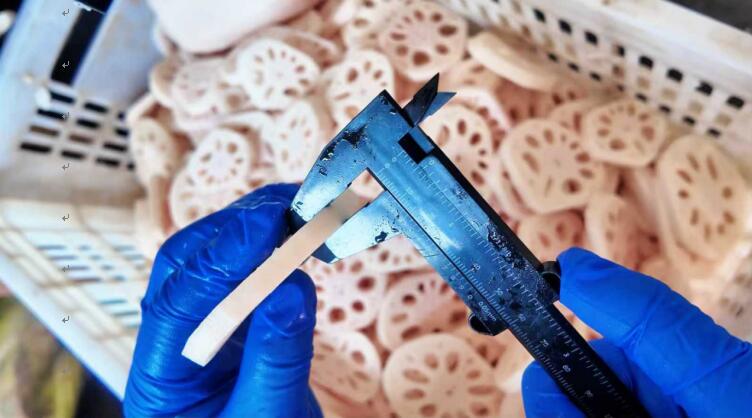 工人正在加工蓮藕。