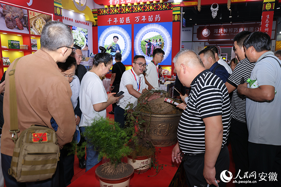 药博会吸引各地客商参与。人民网记者 王晓飞摄