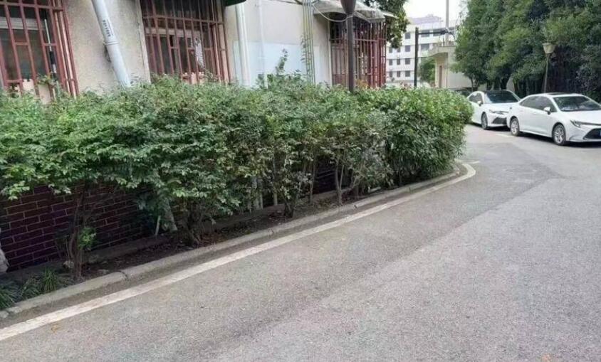 小區治理后，道路干淨整潔。