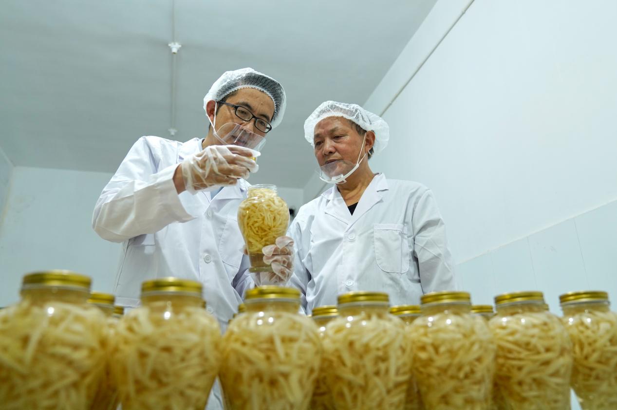 金如林（左一）正在指导讲解铜陵白姜制作工艺。陈磊摄