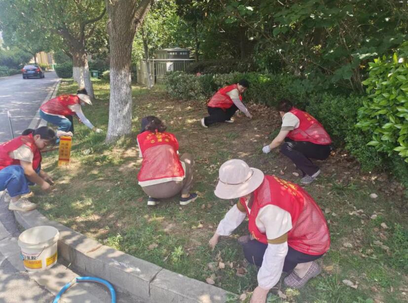 幸福坝社区妇女议事会成员清理杂乱绿植现场。