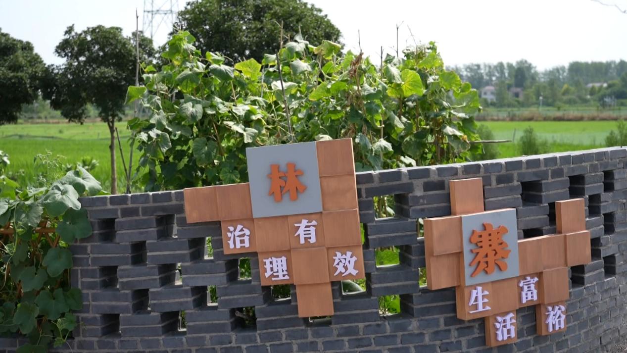 林寨村打造的 “微庭院”。赵宇摄