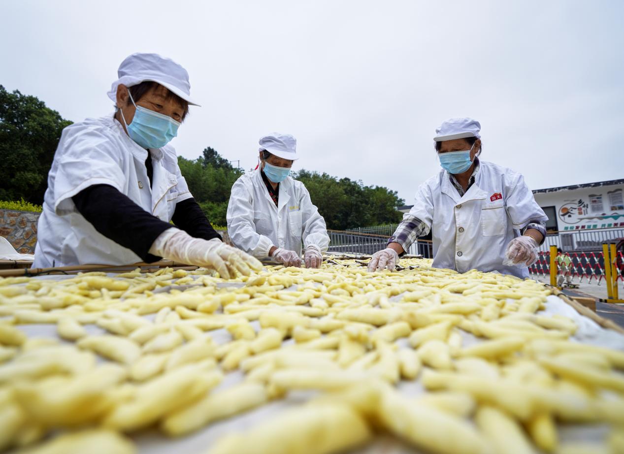 村民在晾晒白姜。
