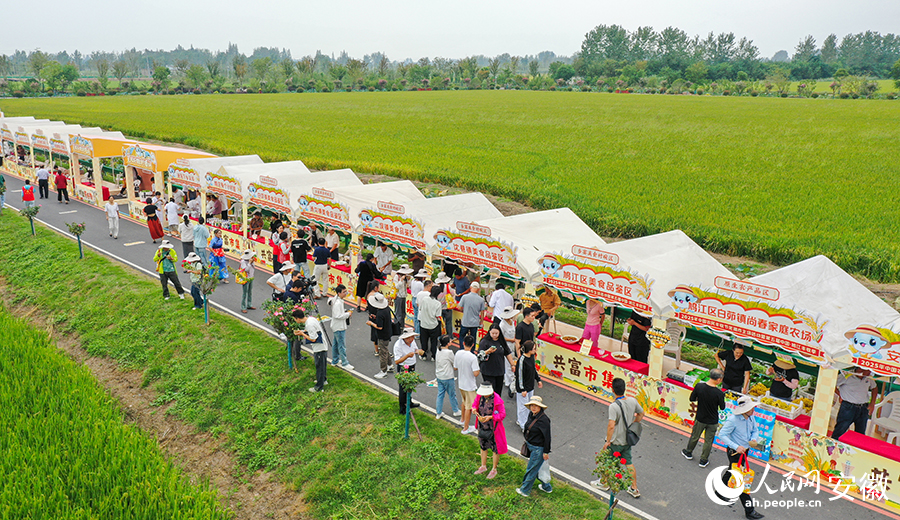 设在稻田边的共富市集。人民网记者 张俊摄