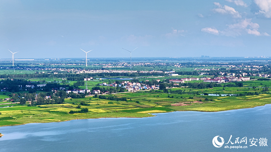 淮河两岸美如画。人民网 郭昊摄