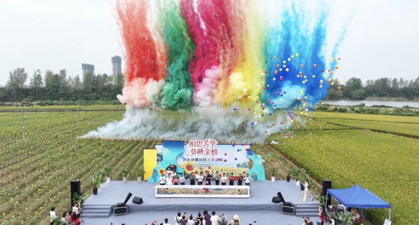 芜湖湾沚镇桃园状元文化周成功举办。