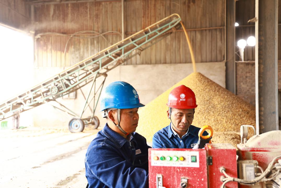 國網碭山縣供電公司員工巡檢烘干機用電設施。張闖攝