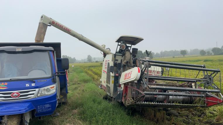 淮南市潘集区：“抢”字当头