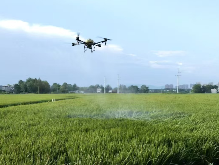 践行大食物观构建多元化食物供给体系