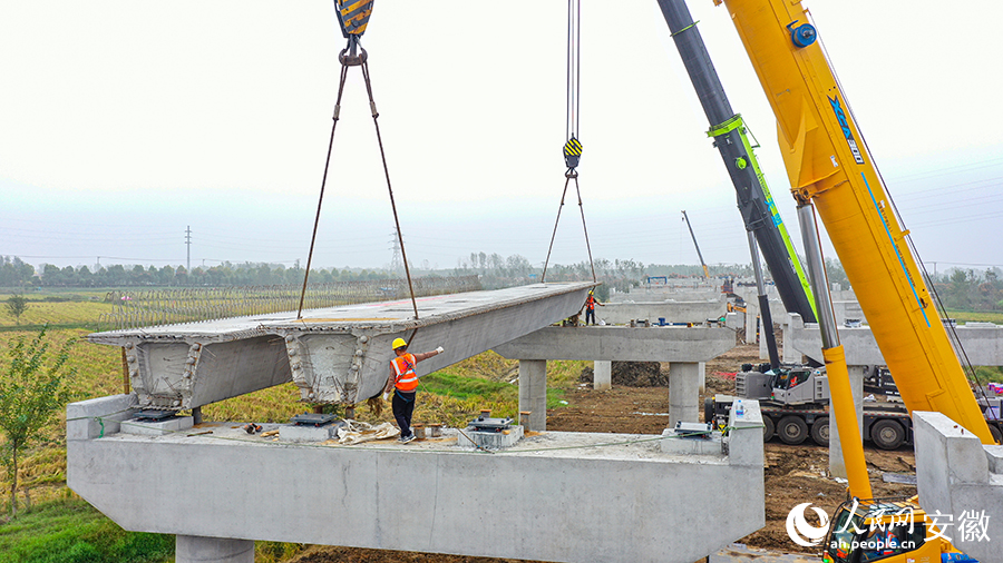 S20長固高速上跨省道S245大橋箱梁架設施工中。人民網記者 張俊攝