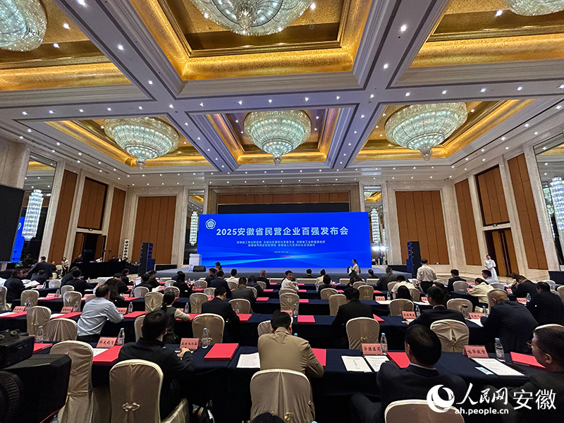 2025安徽省民营企业百强发布会现场。人民网记者 高飞跃摄