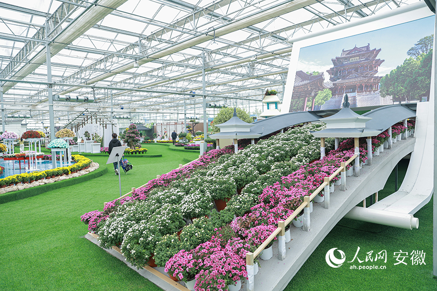 各式切花菊搭建起全椒正月十六走太平场景。人民网记者 张俊摄