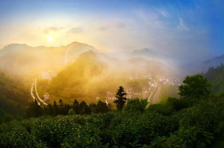 云上茶乡。徽州区委宣传部供图