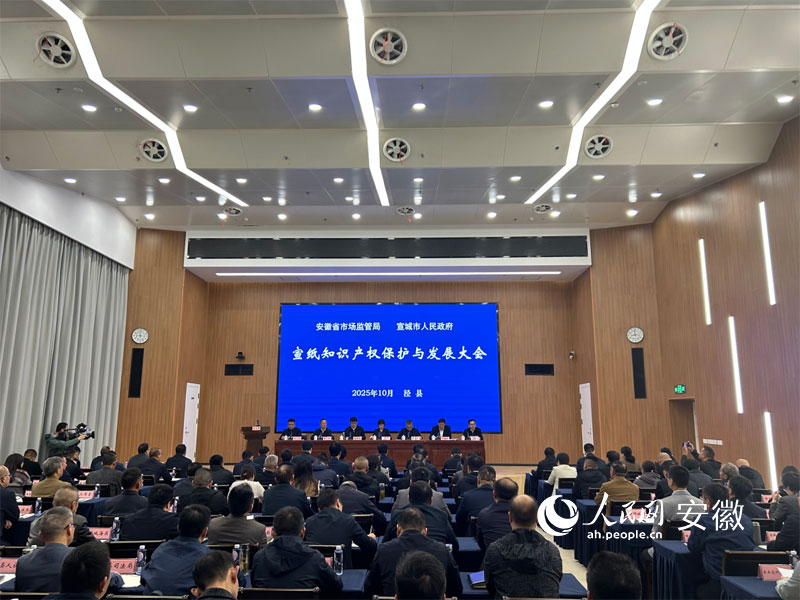 宣纸知识产权保护与发展大会现场。人民网记者 高飞跃摄