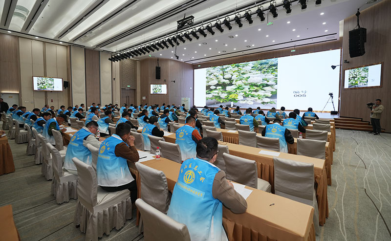 理论考试现场。