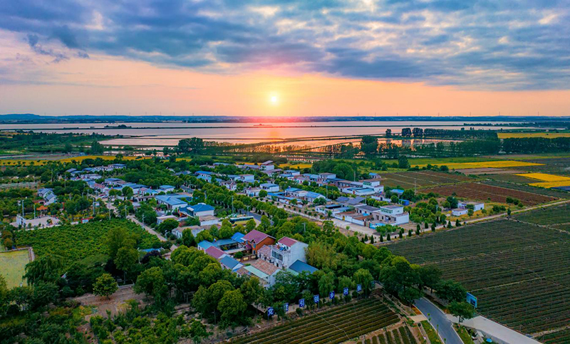 俯瞰明光市苏巷镇戴巷村陆郢组的美丽乡村。胡万里摄