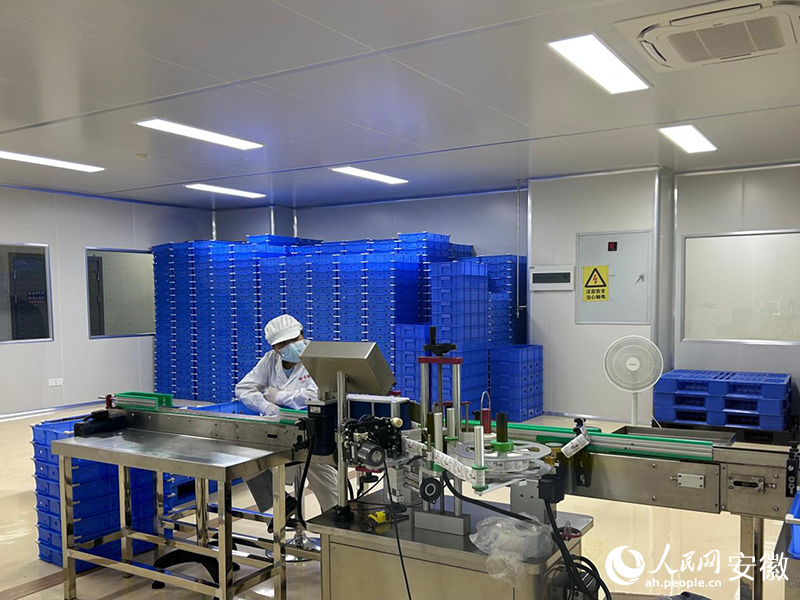 旌德海昭生物科技有限公司生产车间。人民网记者 高飞跃摄