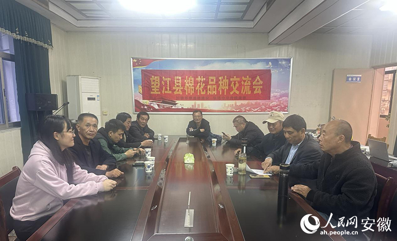 棉花品种交流会。人民网记者 高飞跃摄