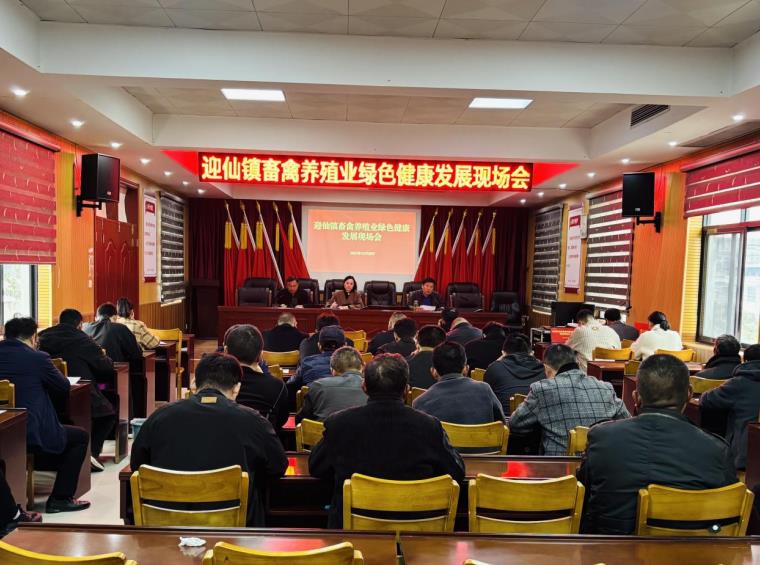 会议现场。