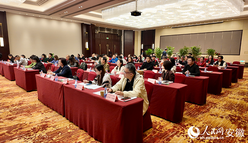 2025上海優秀民營院團獲獎劇目巡演走進蕪湖。人民網記者 汪瑞華攝