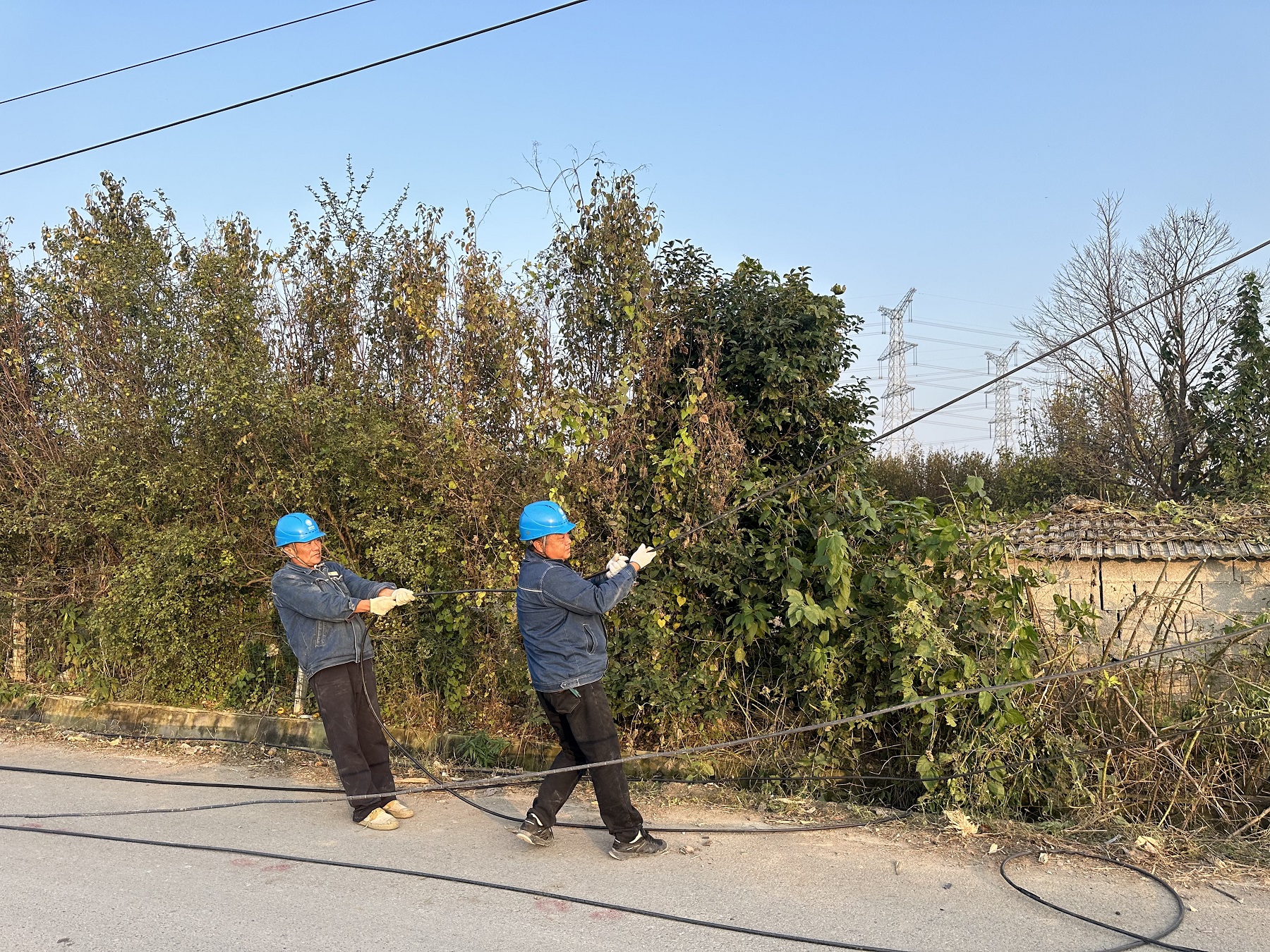 10月28日，國網濉溪縣供電公司施工人員正在架設線路。陳朝陽攝