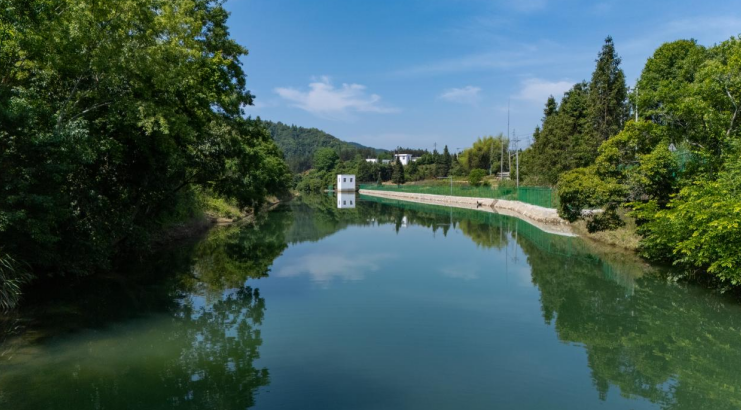 東至“三綠”並舉，繪就生態文明新畫卷