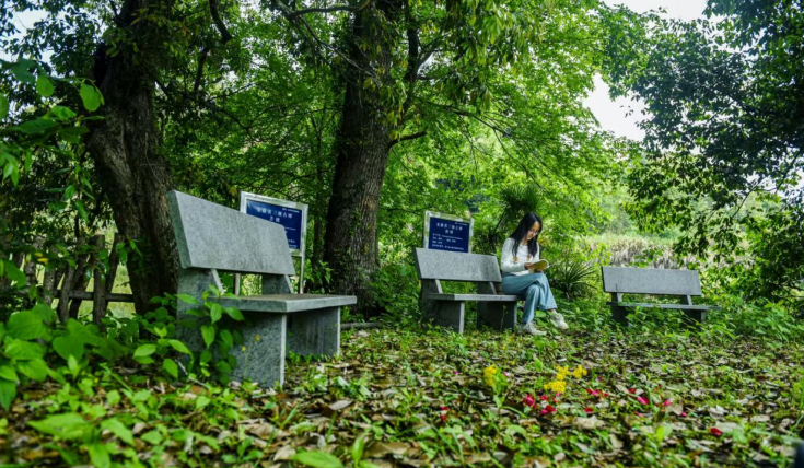 東至“三綠”並舉，繪就生態文明新畫卷