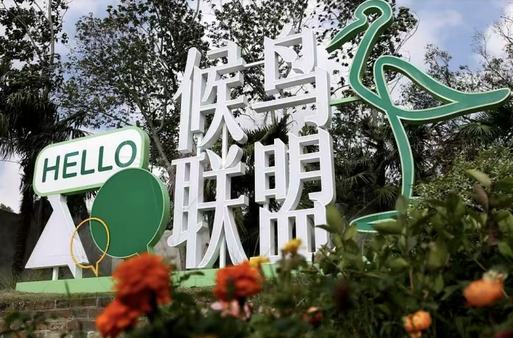 升金湖候鸟联盟度假区。江靖 摄