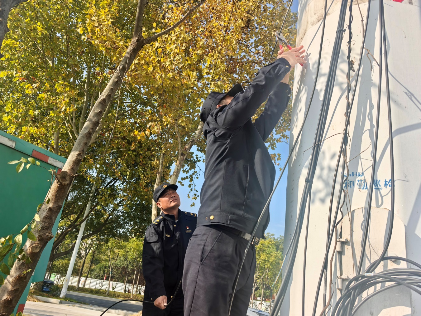 城管队员巡查发现并拆除废弃网线。