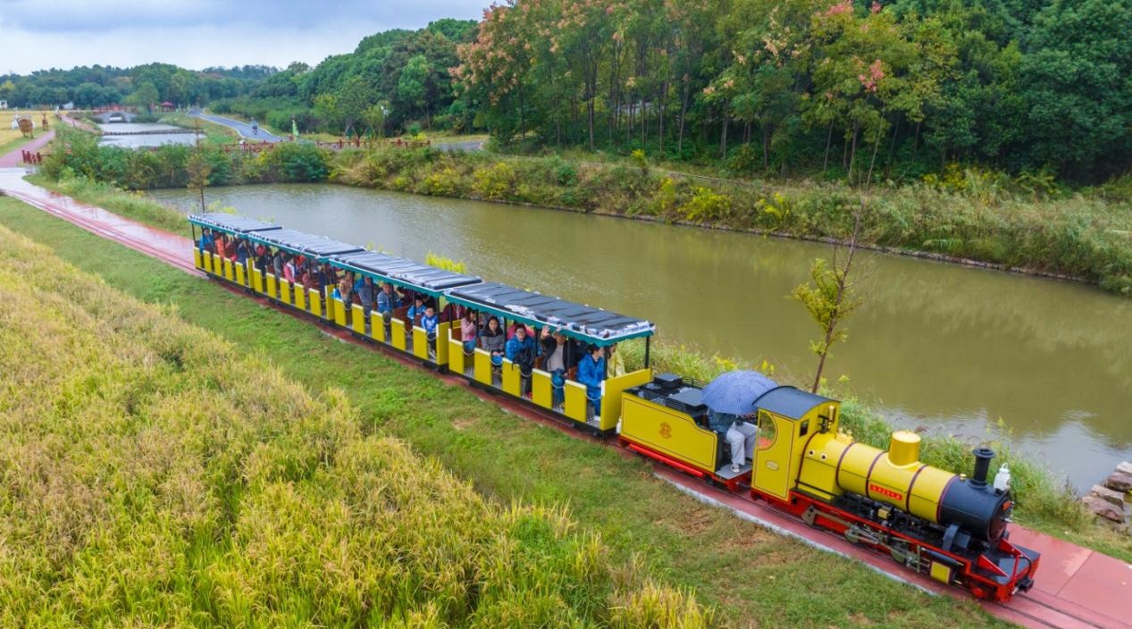 蕪湖“面人叔”車程1小時 去花橋“水陸空三通”玩【2】