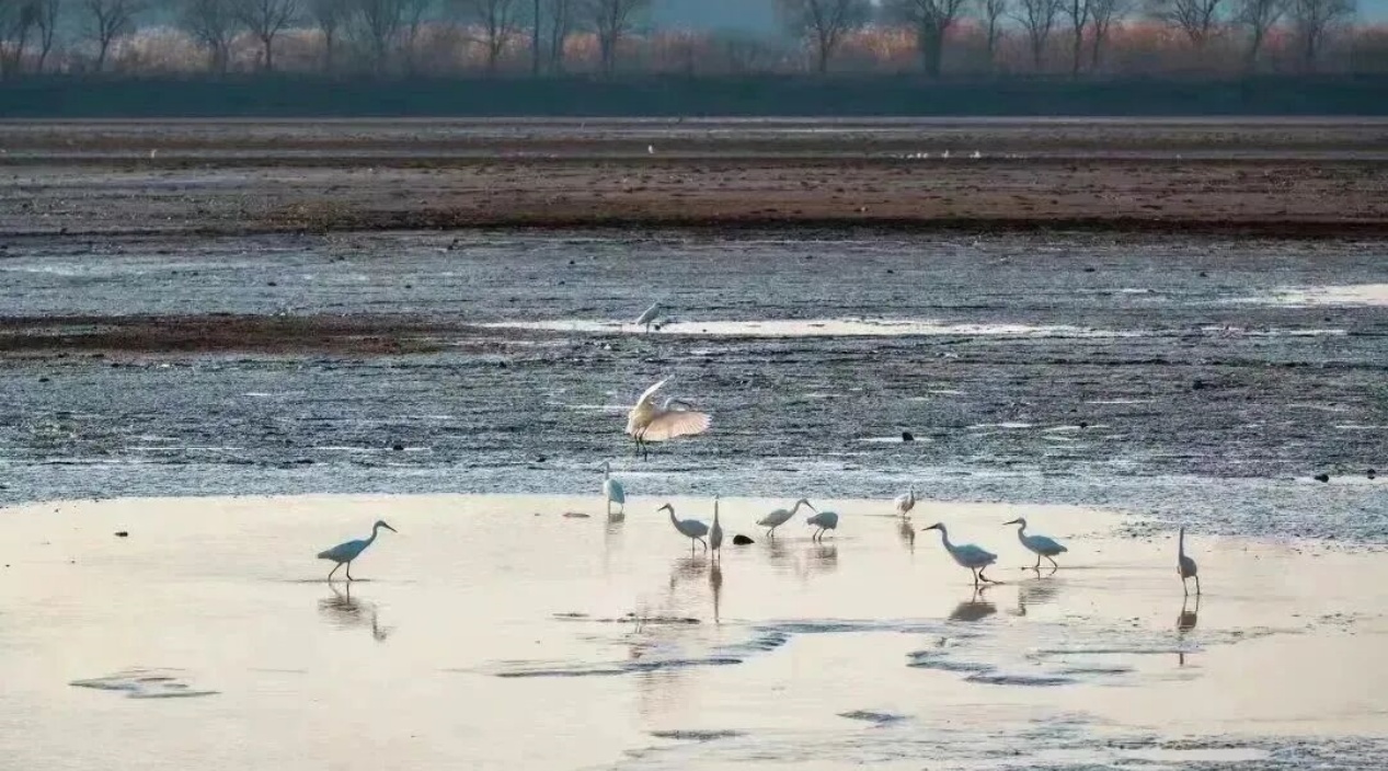 蕪湖“面人叔”車程1小時 去花橋“水陸空三通”玩【8】