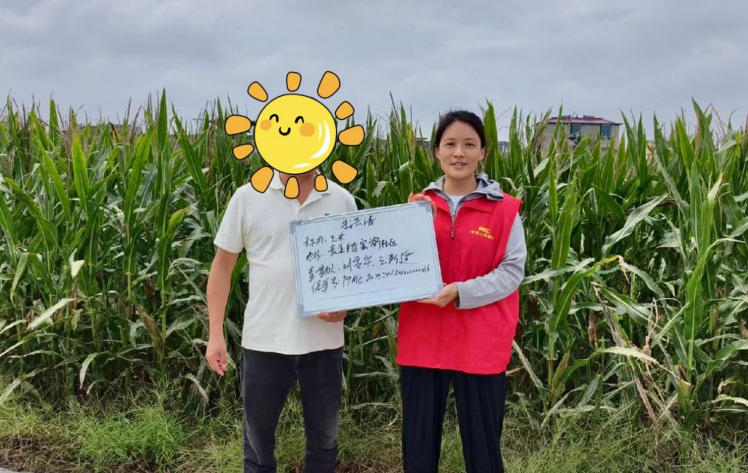 安徽人保財險理賠人員在農田查勘損失。