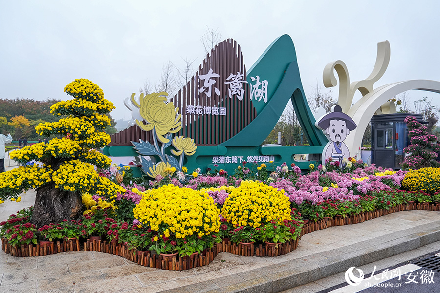 東籬湖菊文化博覽園內,6萬余株菊花競相綻放。人民網記者 苗子健攝