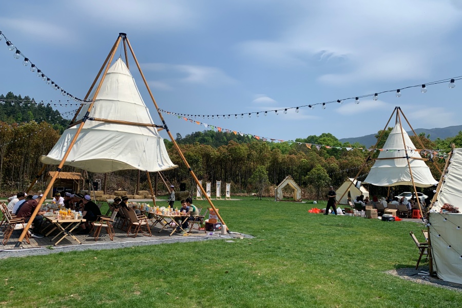 安庆市宜秀区大龙山镇：从“农业小镇”到“产城融合新城”【5】