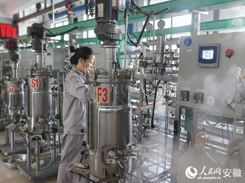 新宇药业工作人员正进行相关实验。人民网 陶伟摄