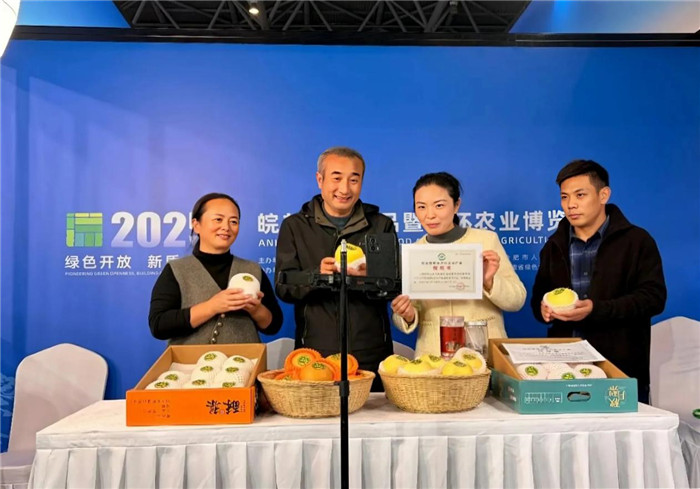 马庄村驻村工作队员走进农博会皖美乡村直播间。砀山县委宣传部供图