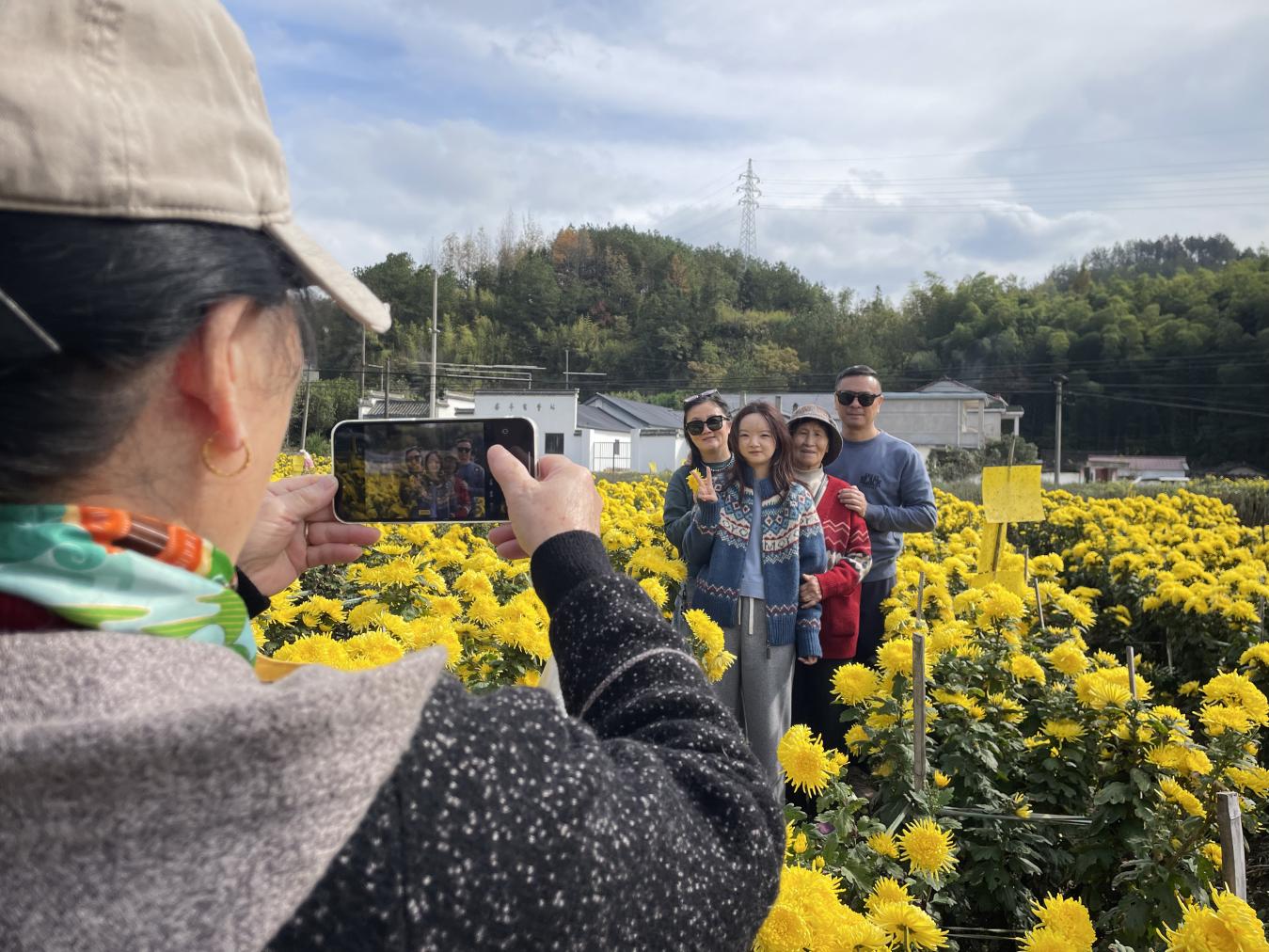 宣城旌德蔡家桥镇:菊花产业绽放“美丽经济”【8】