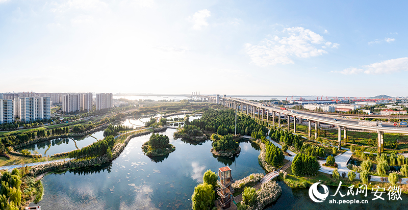 俯瞰蕪湖朱家橋尾水凈化公園。人民網記者 張俊攝
