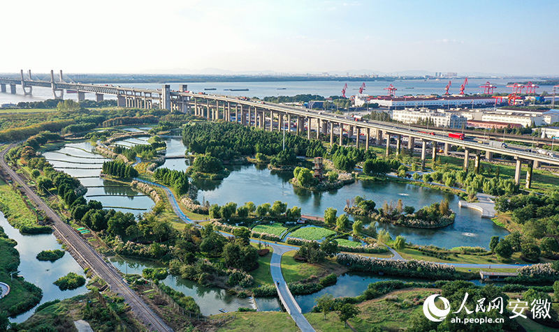 俯瞰蕪湖朱家橋尾水凈化公園。人民網記者 張俊攝