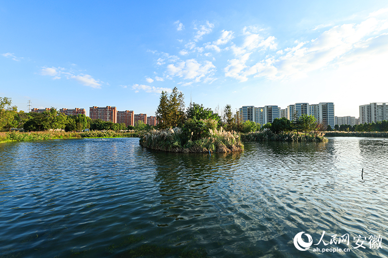 碧波蕩漾的水面。人民網記者 張俊攝