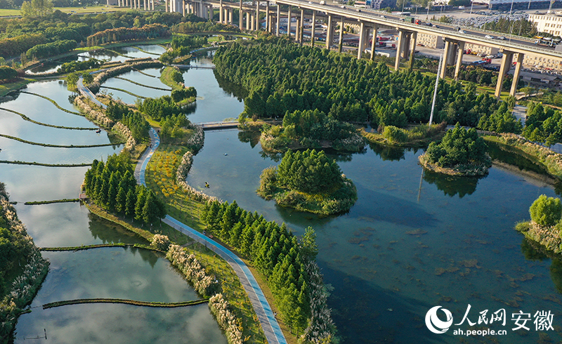 能“凈水”的潛流濕地和生態涵養塘。人民網記者 張俊攝