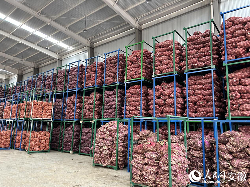 安徽中姜农业科技公司仓库内的生姜等农产品。人民网记者 高飞跃摄