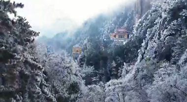 松涛凝霜挂碧浪 初冬天台着银装