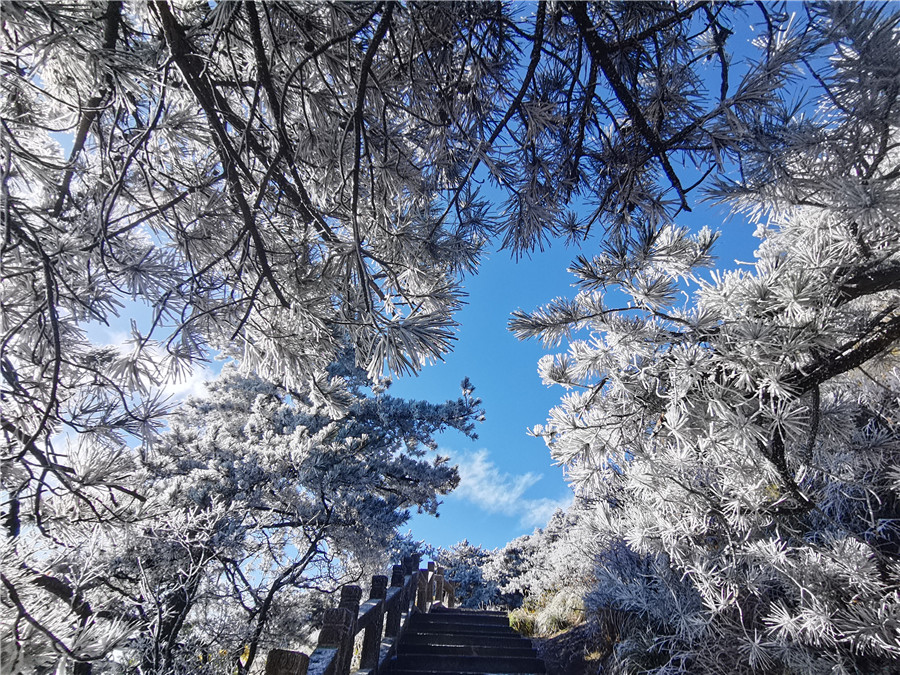 山林裹霜覆雪，分外迷人。