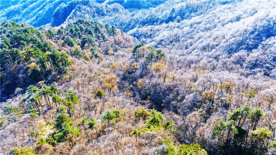山林裹霜覆雪，分外迷人。