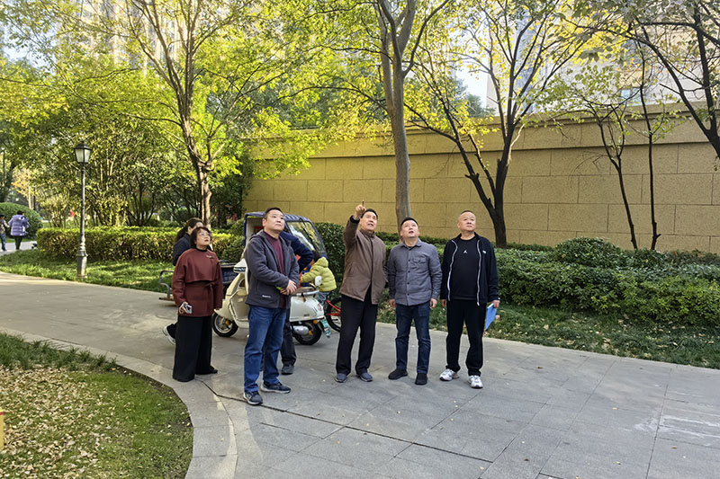 天琴湾小区实地勘察问题。