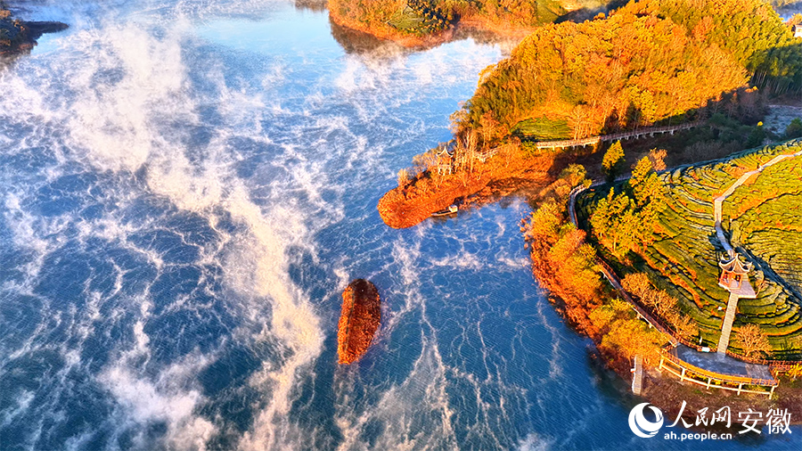 西茶谷美若画卷。人民网 郭昊摄