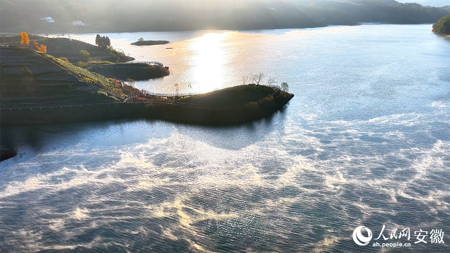 西茶谷美若画卷。人民网 郭昊摄