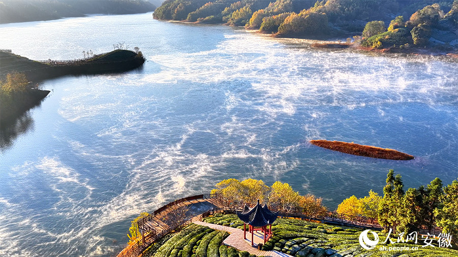 西茶谷美若画卷。人民网 郭昊摄